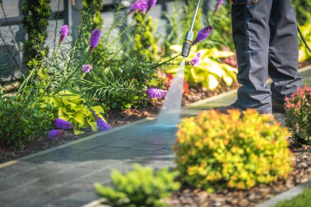 Professional Pressure Washing Services in Springdale, NJ